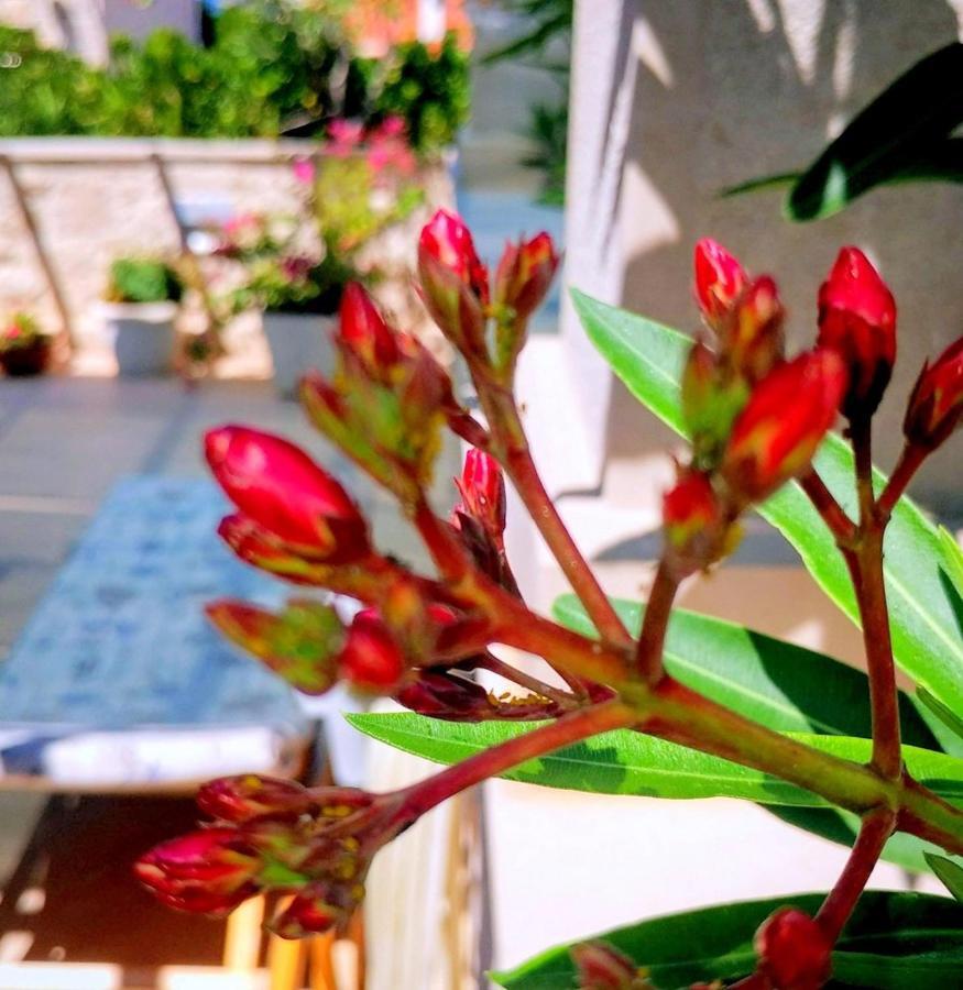 Apartments Gracija بوفليا المظهر الخارجي الصورة