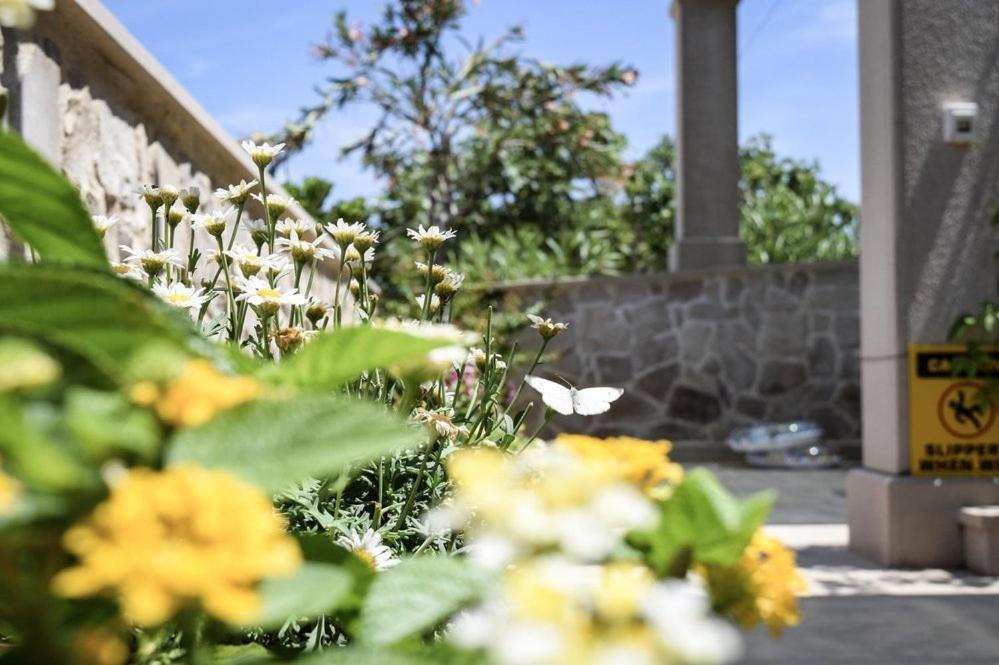 Apartments Gracija بوفليا المظهر الخارجي الصورة